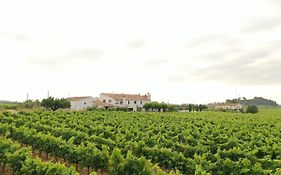 Soul Farm Mas Els Igols